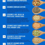 10 Reasons To Avoid Eating Legumes Http paleomagazine paleo why