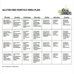 FREE 17 Diet Plan Templates In PDF MS Word Google Docs Pages