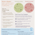 Gluten Free Primer Infographic Best Infographics