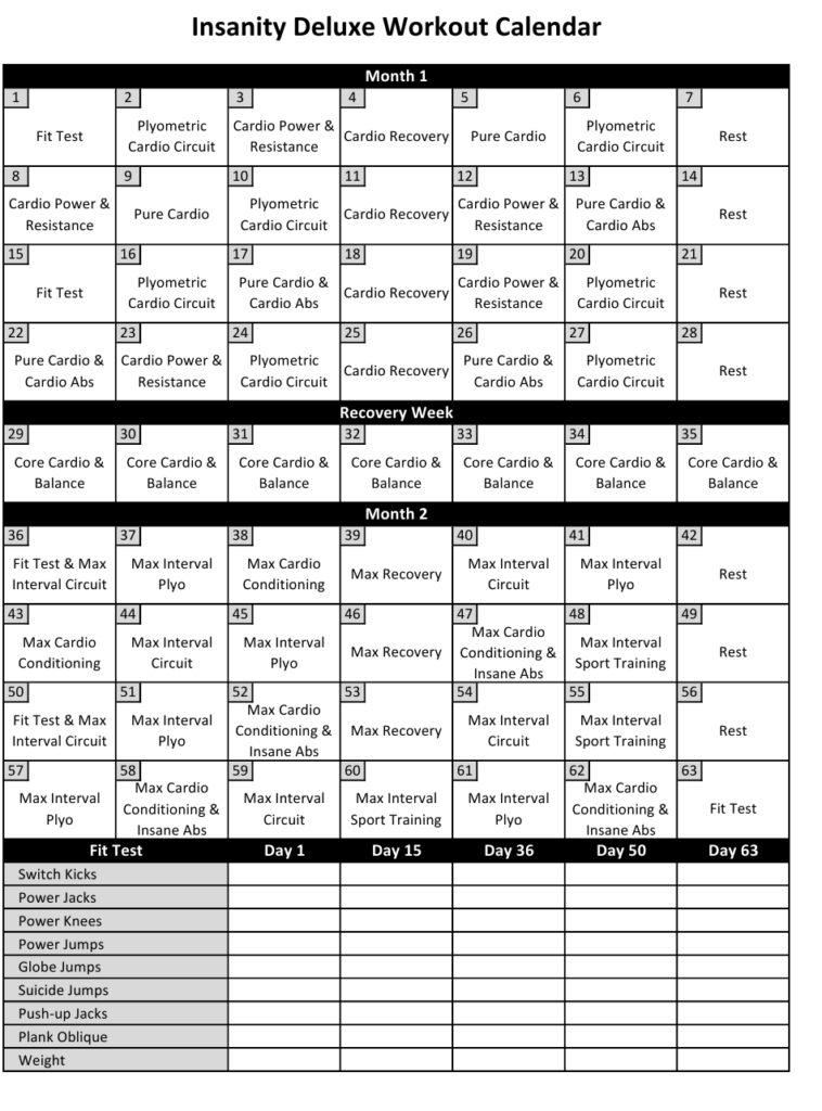 Insanity Workout Schedule Download Printable PDF Templateroller