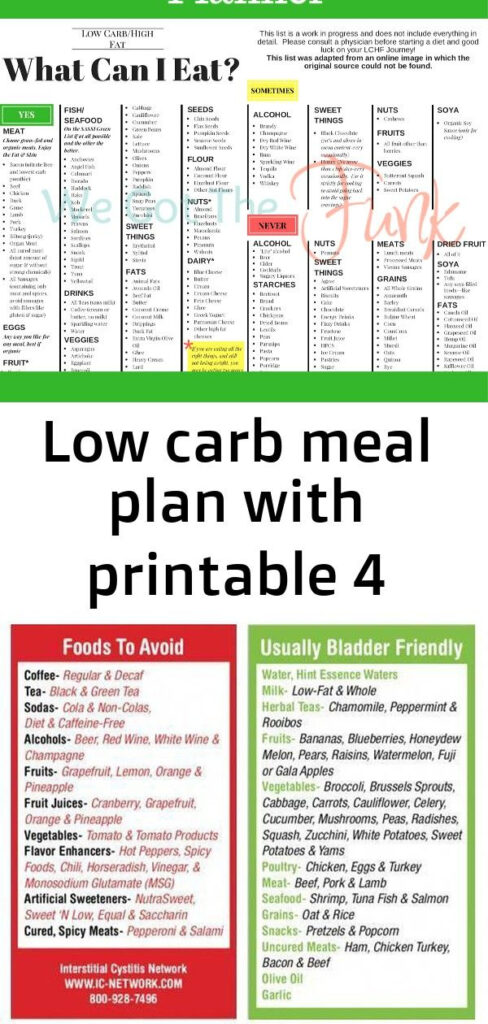 Low Carb Meal Plan With Printable 4 Low Carb Meal Plan Ketogenic 