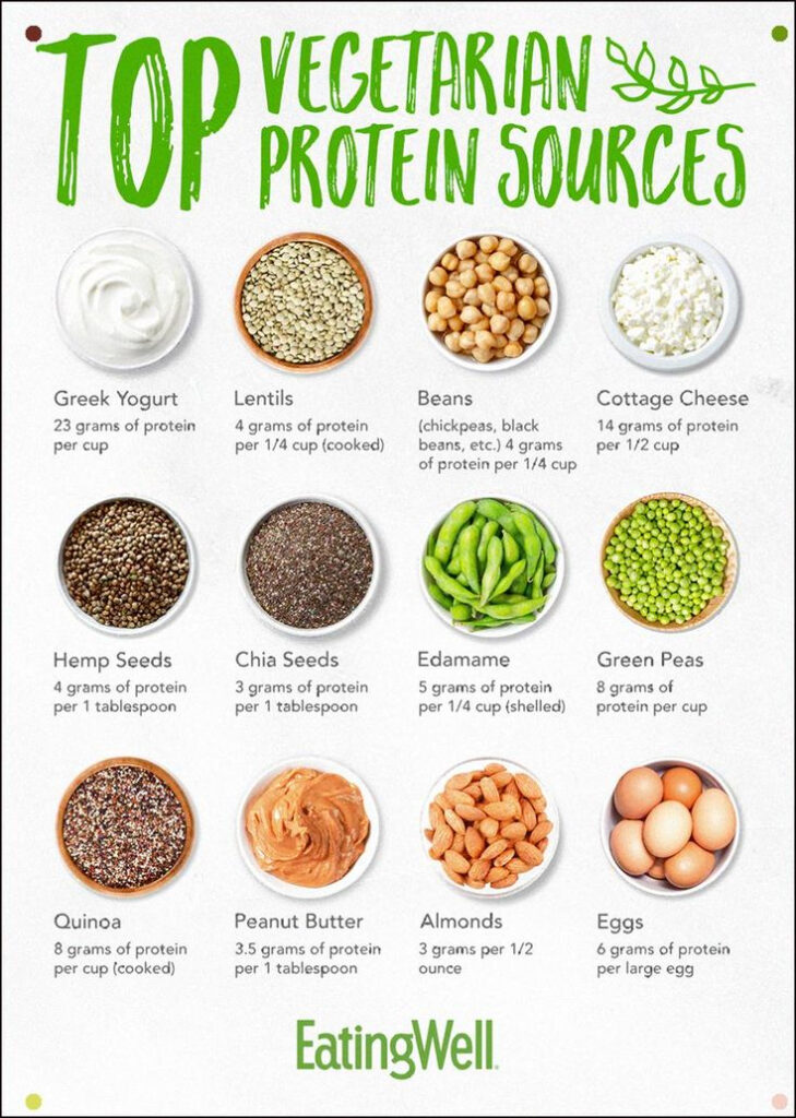 Top Vegetarian Protein Sources If You re Following A Veggie Lover 