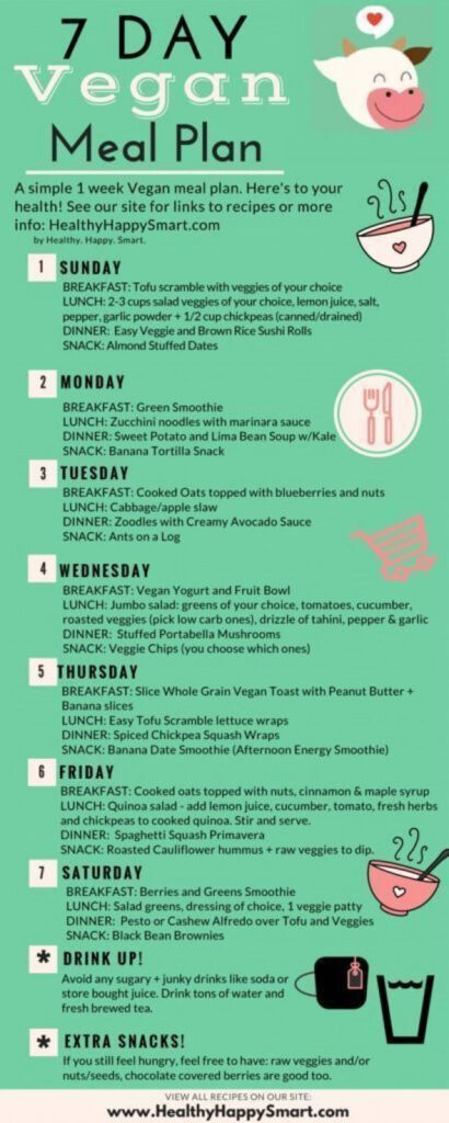 1 Week Free Vegan Meal Plan PDF Helpful Healthy And Handy Meal Plan 