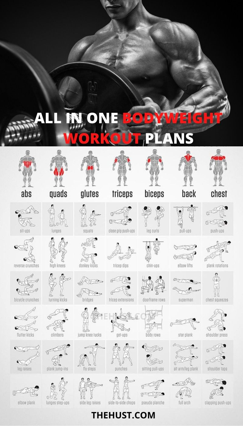 All Best Bodyweight Exercises You Can Do For Size Body Weight Workout 