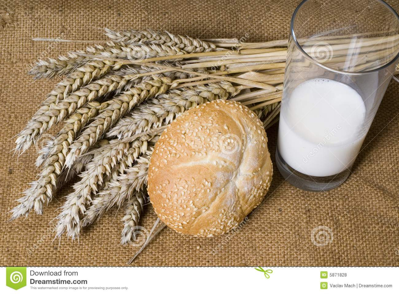 Bread Wheat And Milk Royalty Free Stock Photos Image 5871828