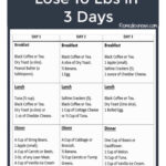 Diet Plan To Lose Weight Diet Plans Healthy Leading Health Well