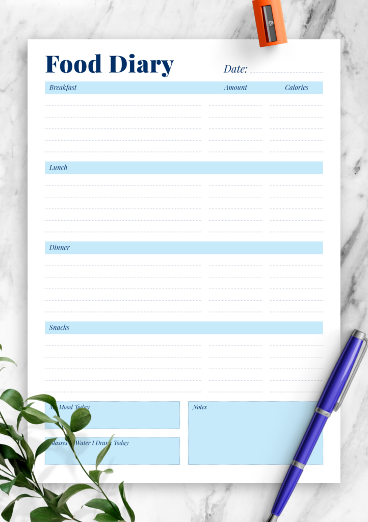 Download Printable Daily Food Diary PDF