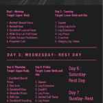 Fat Loss Gym Workout Plan For Women 12 Week Exercise Program