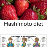 Hashimoto Diet Hashimoto Diet Diet Diet Help