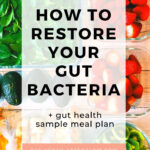 How To Restore Your Gut Bacteria The Vegan Afterglow Healthy Gut