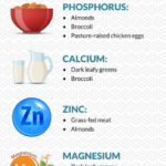 Low Histamine High Nutrient Infographic Dr Becky Campbell