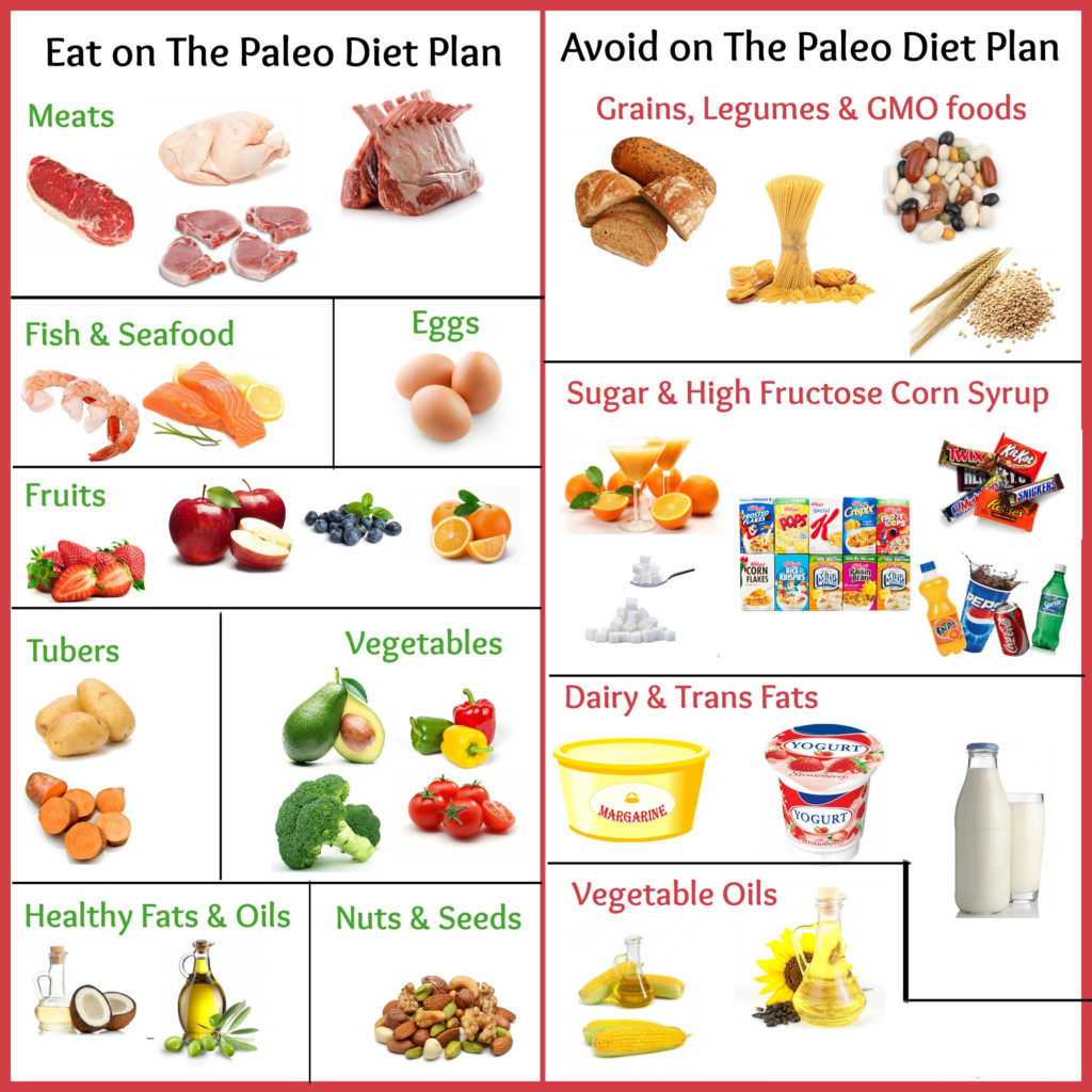 What Is Paleo Diet What Foods To Eat And Avoid On Paleo Diet